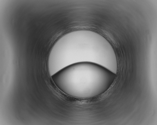 X0000116840120200912181122