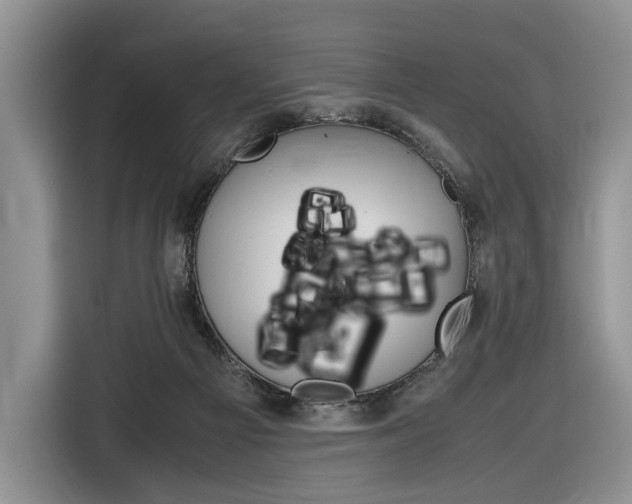 X0000116840121200912181122
