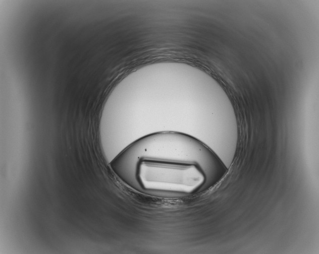 X0000116840128200912181122