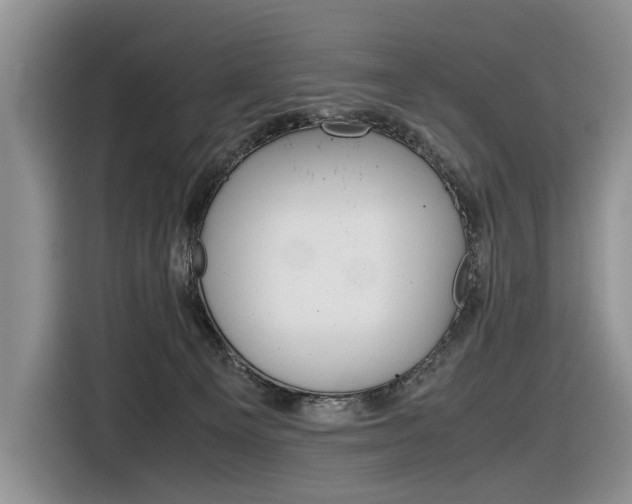X0000116840129200912181122