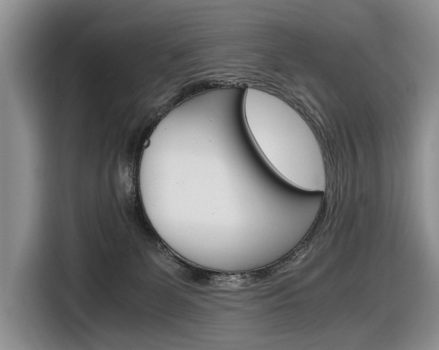 X0000116840131200912181122