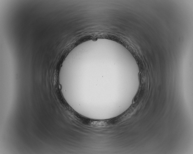 X0000116840133200912181122