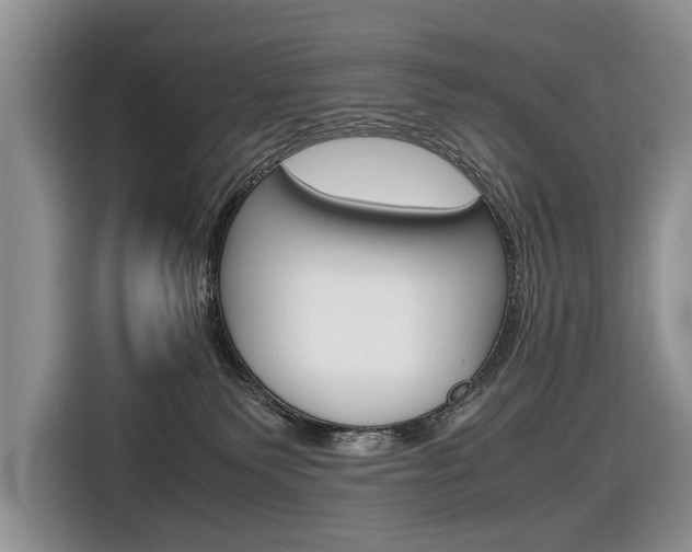 X0000116840135200912181122