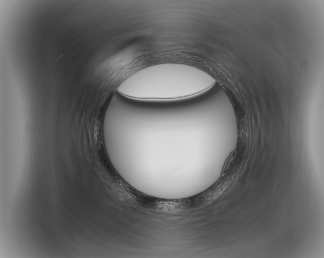 X0000116840139200912181122