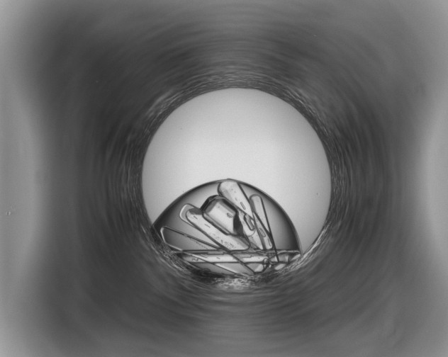 X0000116840140200912181122