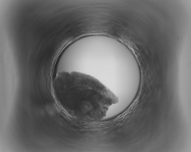X0000116840145200912181121