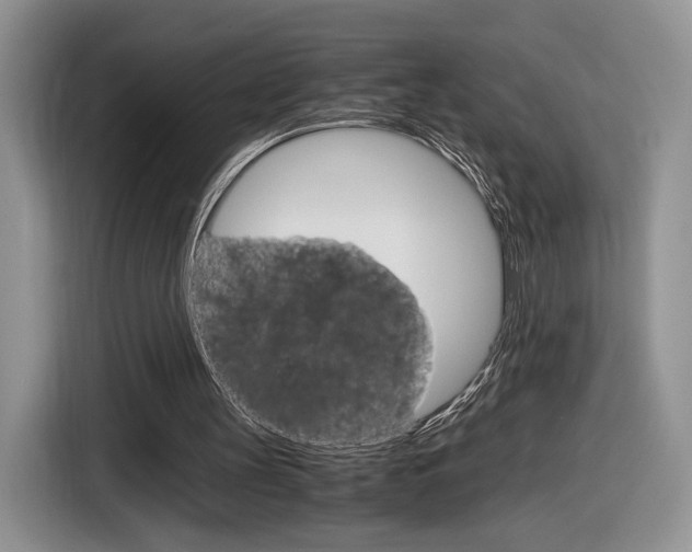 X0000116840147200912181121
