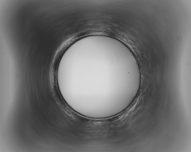 X0000116840149200912181121