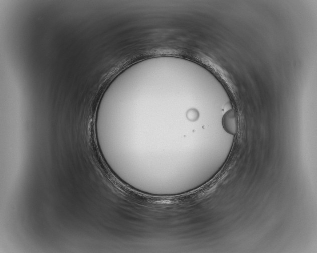 X0000116840153200912181121