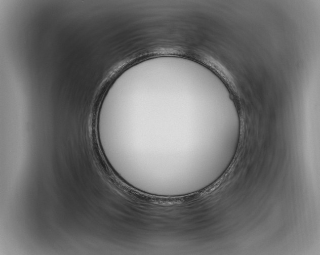 X0000116840155200912181121