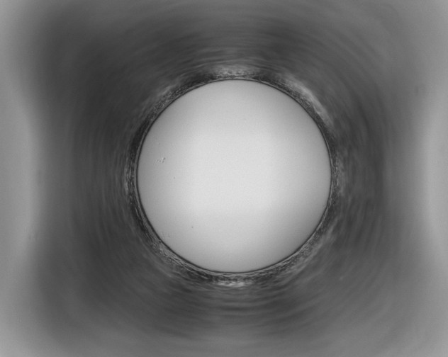 X0000116840161200912181121