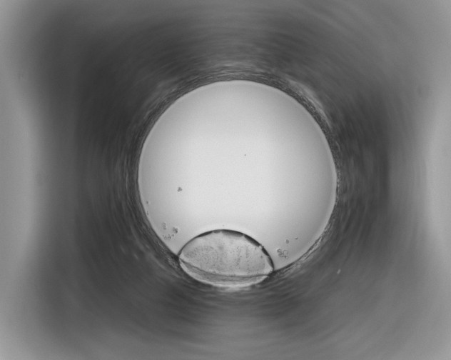 X0000116840162200912181121
