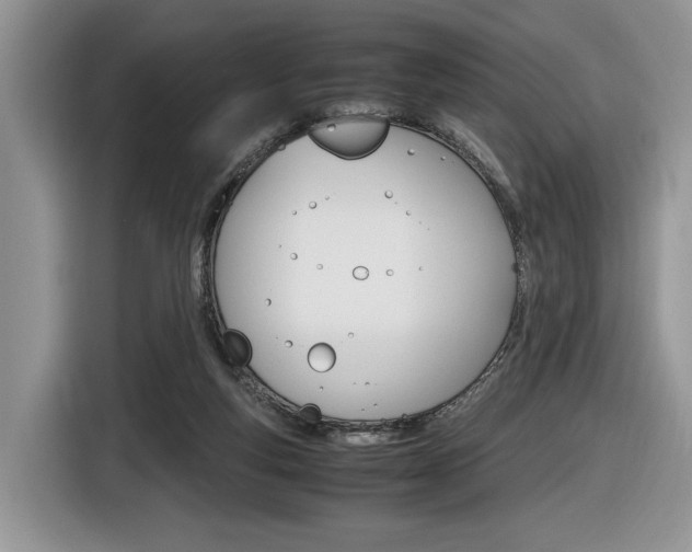 X0000116840163200912181121