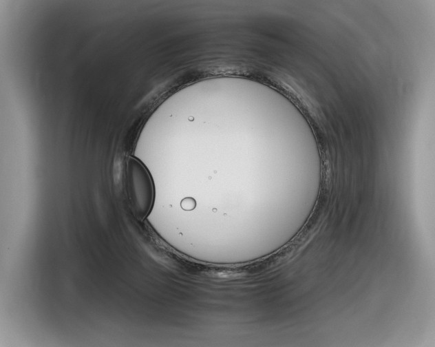X0000116840165200912181121
