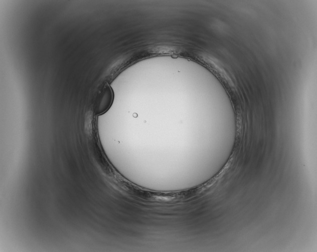 X0000116840167200912181121