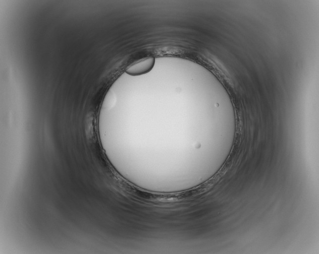 X0000116840169200912181121