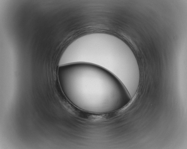 X0000116840170200912181121