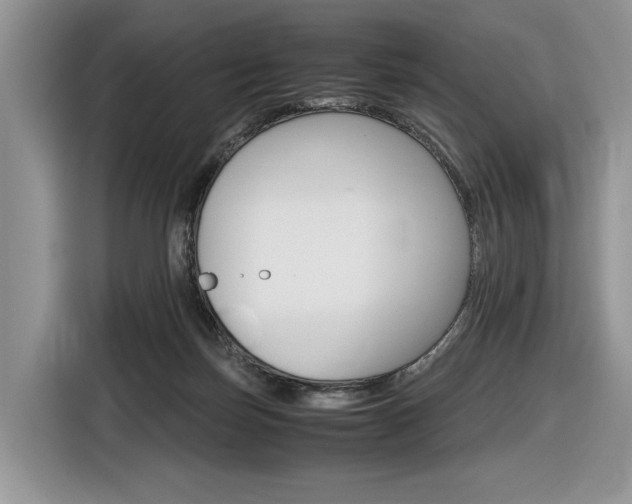 X0000116840171200912181121