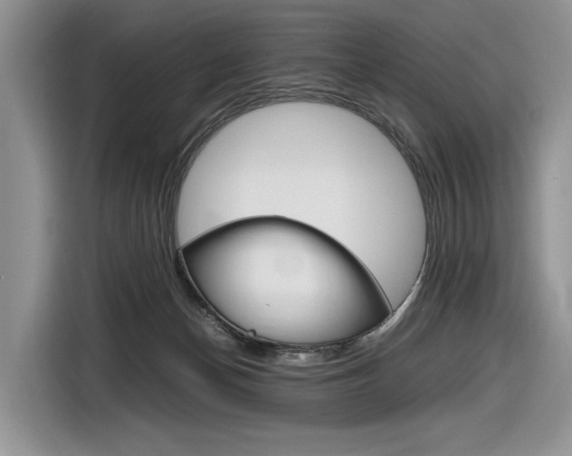 X0000116840174200912181121