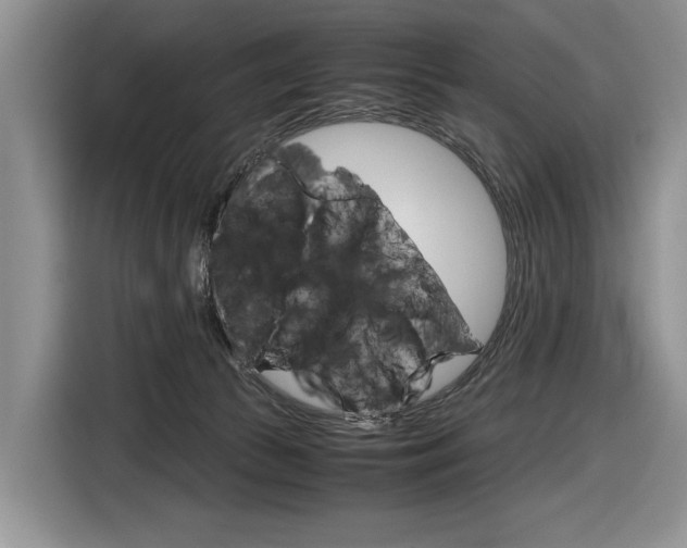 X0000116840177200912181121
