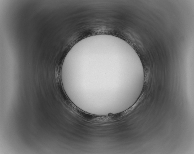 X0000116840179200912181121