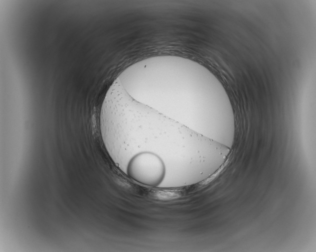 X0000116840183200912181122