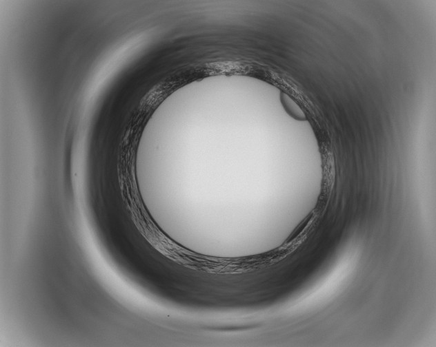 X0000116840191200912181122
