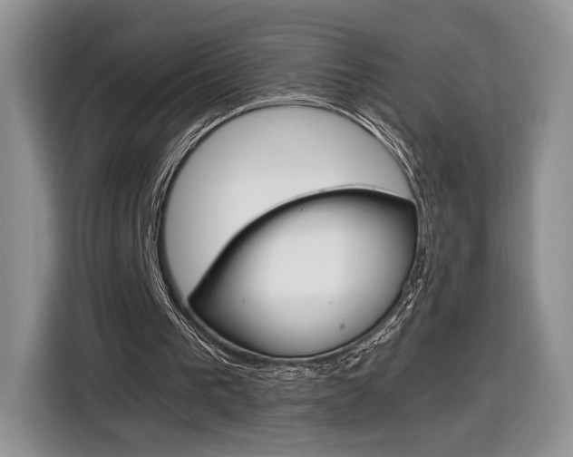 X0000116840193200912181121