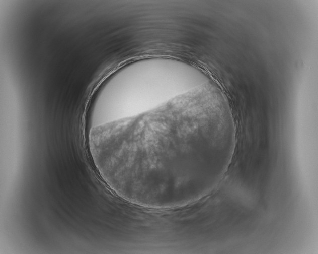 X0000116840194200912181121