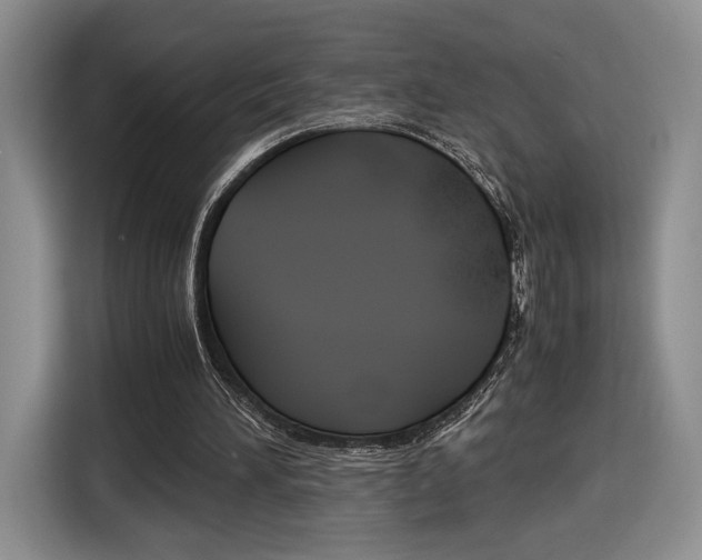X0000116840196200912181121