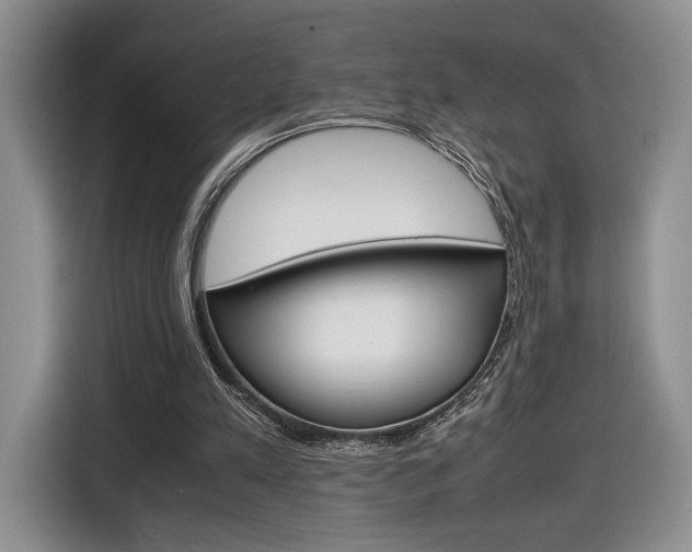 X0000116840197200912181121