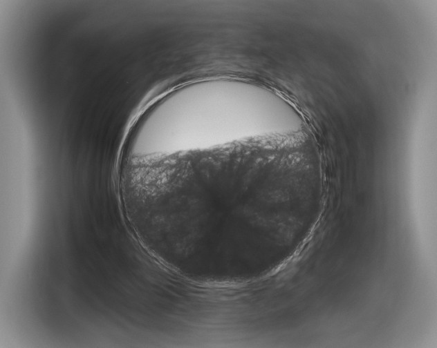 X0000116840198200912181121