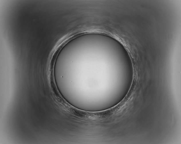 X0000116840199200912181121