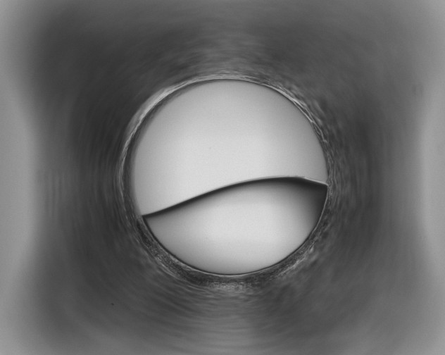X0000116840200200912181121