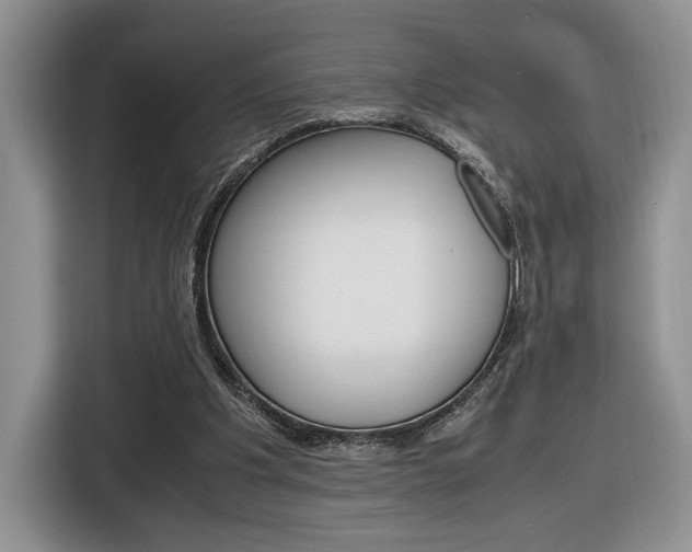 X0000116840201200912181121