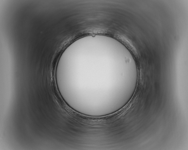 X0000116840202200912181121