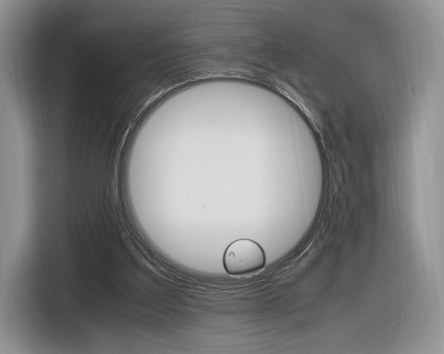 X0000116840203200912181121
