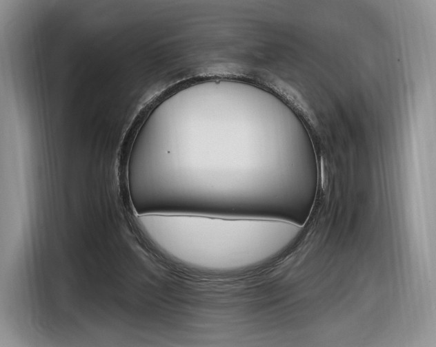 X0000116840204200912181121
