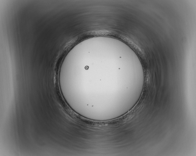 X0000116840206200912181121