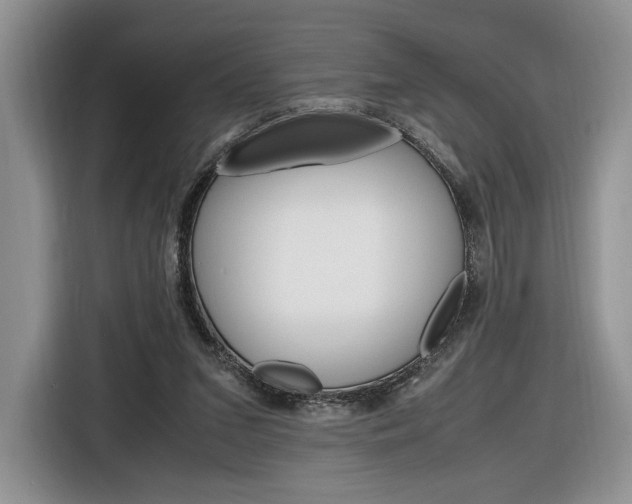 X0000116840207200912181121