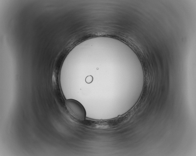 X0000116840214200912181121