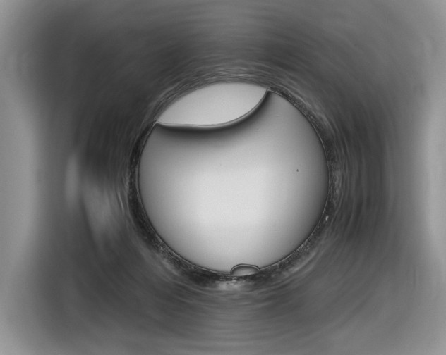 X0000116840216200912181121