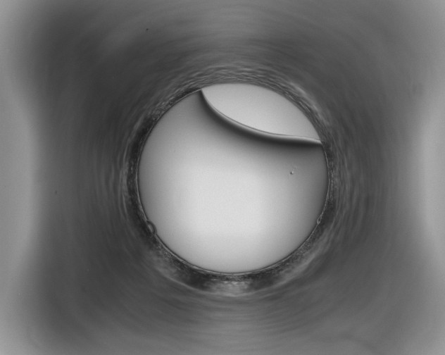 X0000116840217200912181121