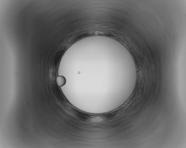 X0000116840218200912181121
