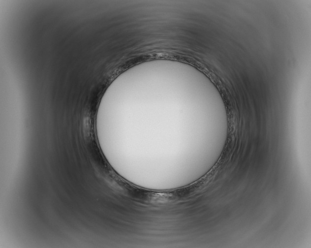 X0000116840222200912181121