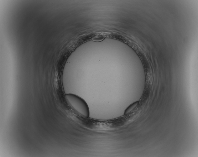 X0000116840223200912181121