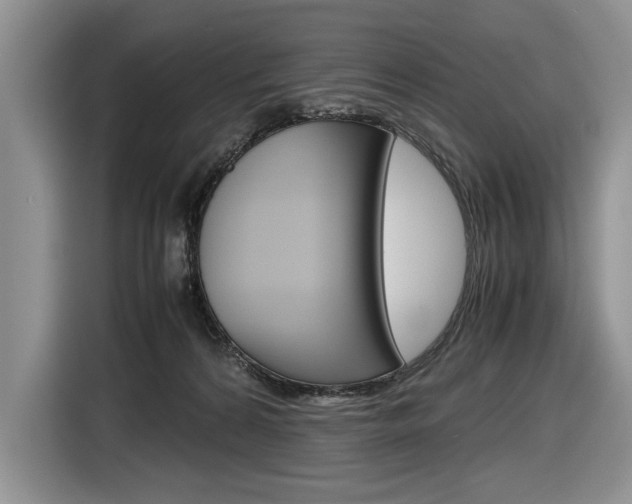 X0000116840224200912181121