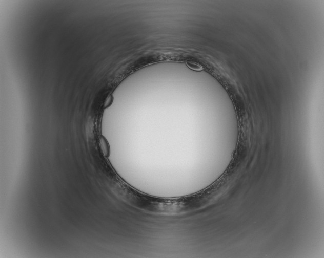 X0000116840225200912181121