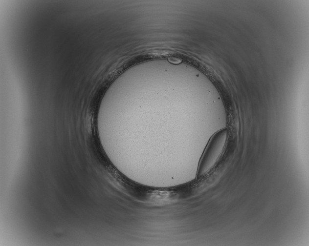 X0000116840227200912181121