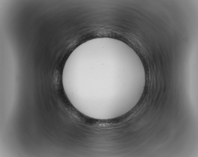 X0000116840228200912181121